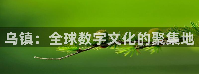 果博集团：乌镇：全球数字文化的聚集地