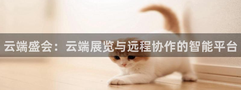 果博官网客服：云端盛会：云端展览与远程协作的智能平台