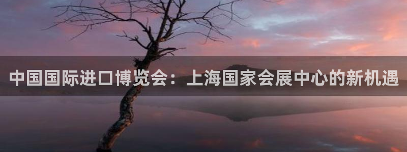 果博官网首页：中国国际进口博览会：上海国家会展中心的新机遇
