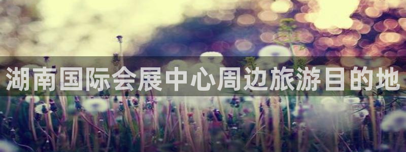 果博注册客服电话：湖南国际会展中心周边旅游目的地