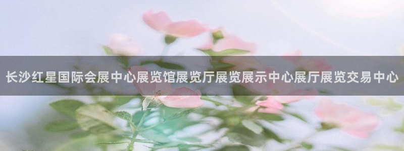 果博平台真实吗：长沙红星国际会展中心展览