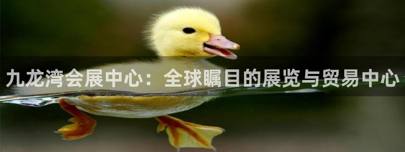 果博公司会员注册账号开户：九龙湾会展中心：全球瞩目的展览与贸易中心