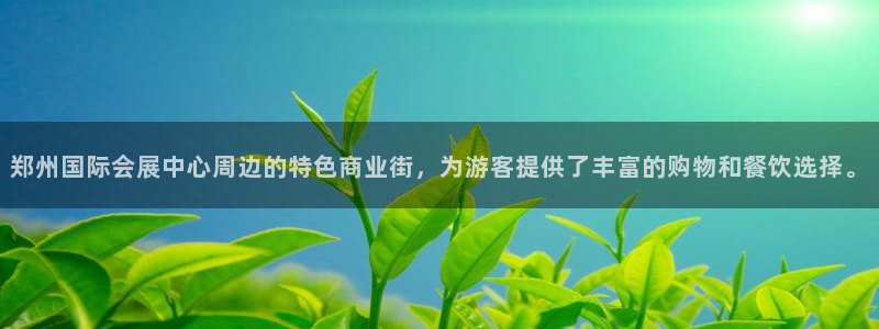 下载果博：郑州国际会展中心周边的特色商业