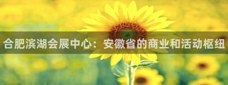 果博客服微信是多少：合肥滨湖会展中心：安