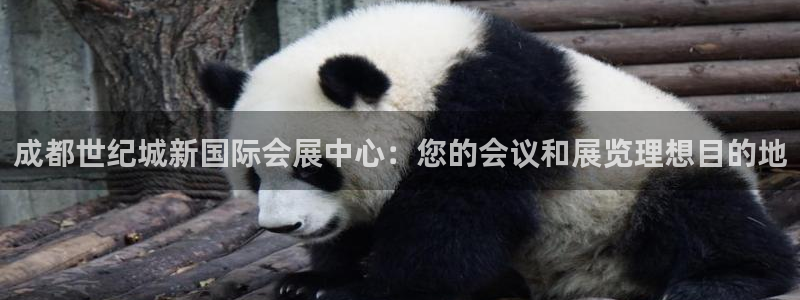 果博官网首页：成都世纪城新国际会展中心：