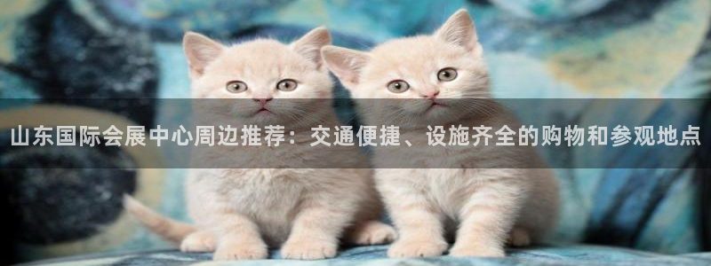 苹果电脑怎么下载博弈大师等软件