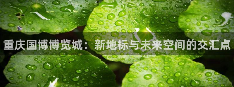 果博公司怎么开户：重庆国博博览城：新地标与未来空间的交汇点
