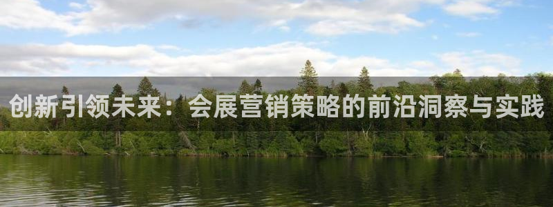 果博账号注册：创新引领未来：会展营销策略