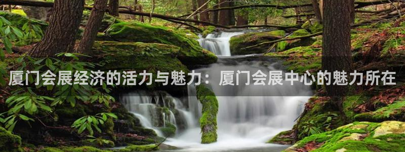 果博公司会员注册账号开户：厦门会展经济的