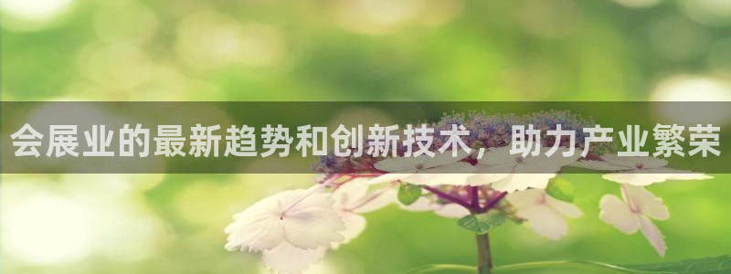 苹果电脑可以下载博易大师吗：会展业的最新