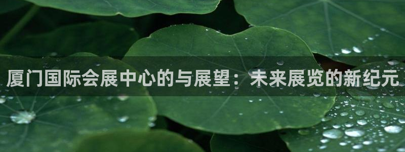 果博集团：厦门国际会展中心的与展望：未来