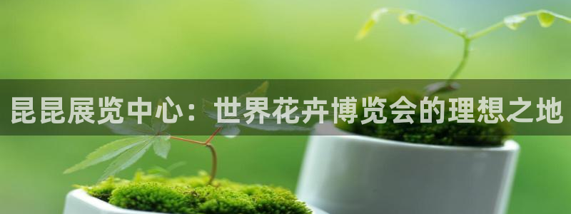 果博公司客服微信：昆昆展览中心：世界花卉