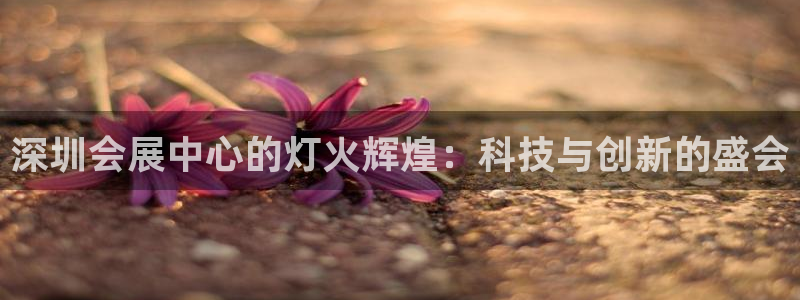 果博官网客服电话号码查询：深圳会展中心的灯火辉煌：科技与创新的盛会