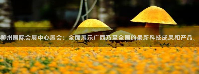果博公司会员怎么开户