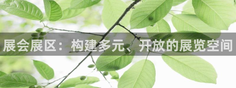 果博公司怎么注册会员：展会展区：构建多元