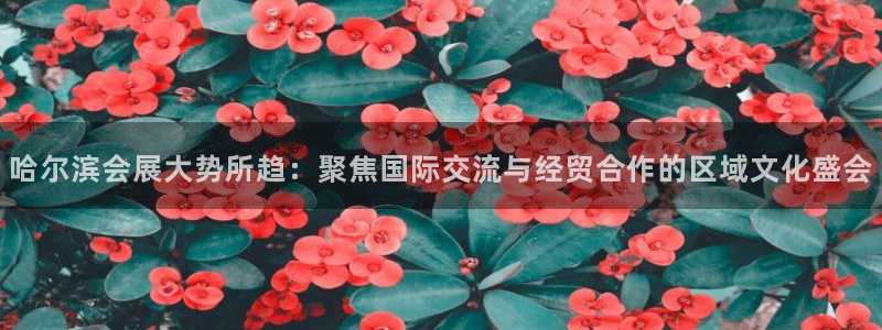 果博注册链接：哈尔滨会展大势所趋：聚焦国际交流与经贸合作的区域文化盛会