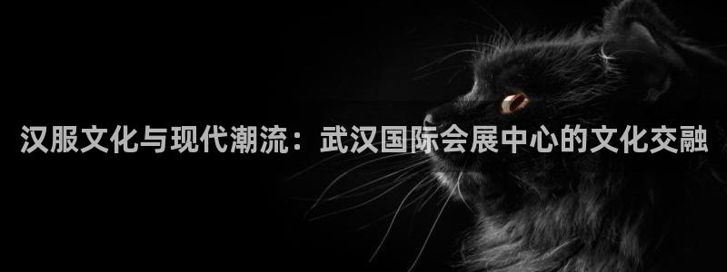 果博公司上分客服：汉服文化与现代潮流：武汉国际会展中心的文化交融
