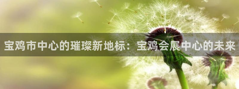 果博公司客服微信：宝鸡市中心的璀璨新地标