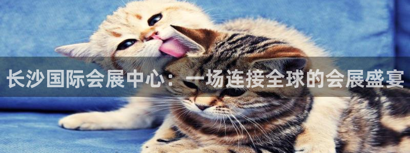 果博注册充值：长沙国际会展中心：一场连接全球的会展盛宴