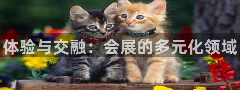 果博注册平台怎么注册的：体验与交融：会展