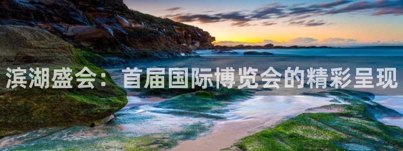 果博平台真实吗安全吗可靠吗：滨湖盛会：首届国际博览会的精彩呈现