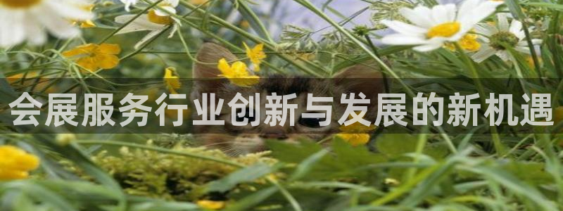 果博注册客服电话号码是多少：会展服务行业创新与发展的新机遇