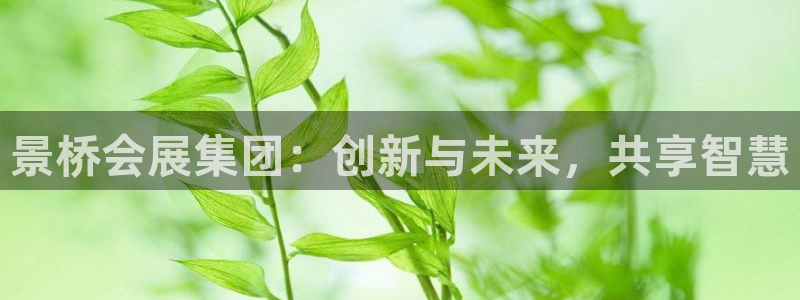 果博真人：景桥会展集团：创新与未来，共享