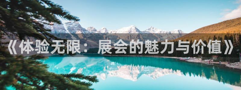 果博官网客服：《体验无限：展会的魅力与价
