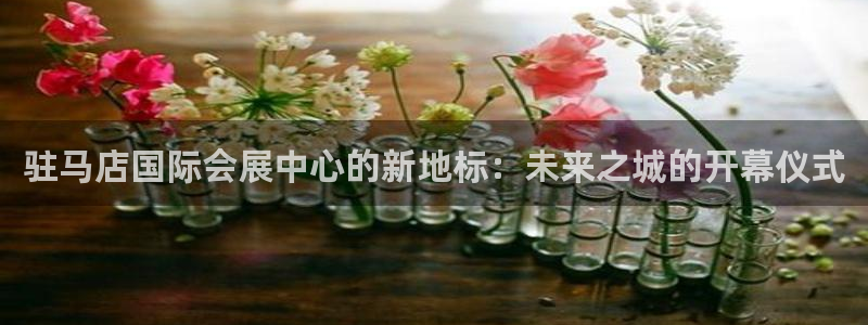 果博手机下载网址：驻马店国际会展中心的新