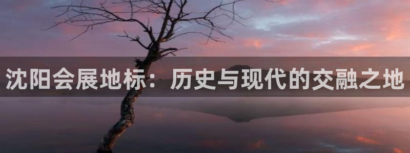 果博注册平台：沈阳会展地标：历史与现代的