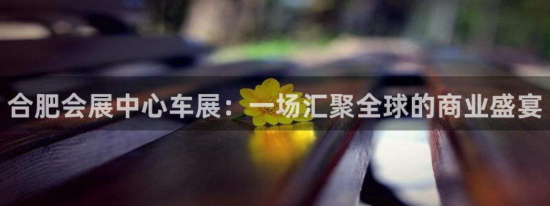 果博平台真实吗安全吗：合肥会展中心车展：
