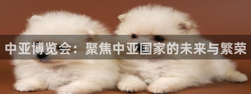 果博公司开户注册：中亚博览会：聚焦中亚国家的未来与繁荣