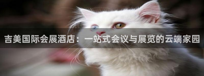 果博代理