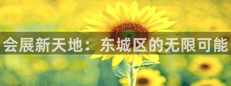果博总台电话