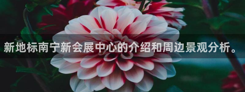 果博官网在银博：新地标南宁新会展中心的介绍和周边景观分析。