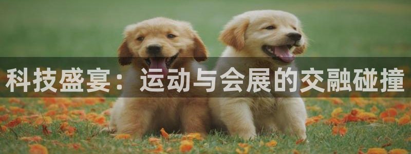 果博注册电话：科技盛宴：运动与会展的交融碰撞