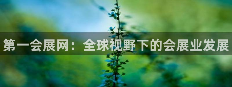 果博平台链接：第一会展网：全球视野下的会展业发展