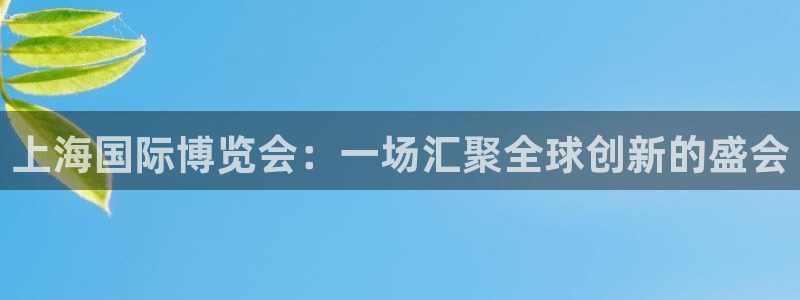 果博平台开户电话查询：上海国际博览会：一场汇聚全球