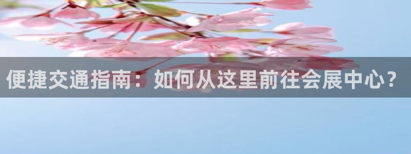 果博客服微信是多少：便捷交通指南：如何从这里前往会展中心？