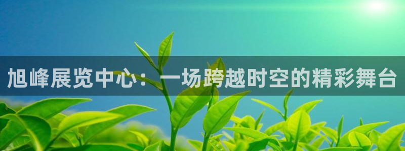 果博官网客服电话号码查询