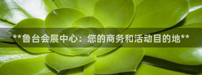 果博注册客服电话：**鲁台会展中心：您的商务和活动目的地**
