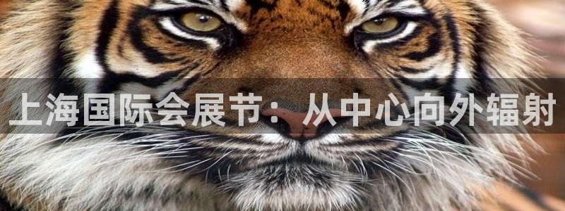 果博手机版官方下载：上海国际会展节：从中心向外辐射