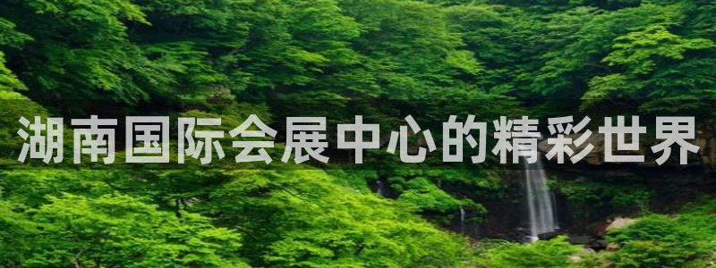 果博公司联系方式：湖南国际会展中心的精彩