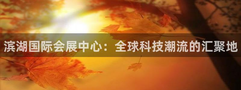 果博注册会员多少钱：滨湖国际会展中心：全