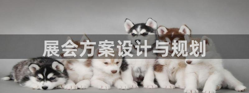 果博公司会员注册账号开户：展会方案设计与