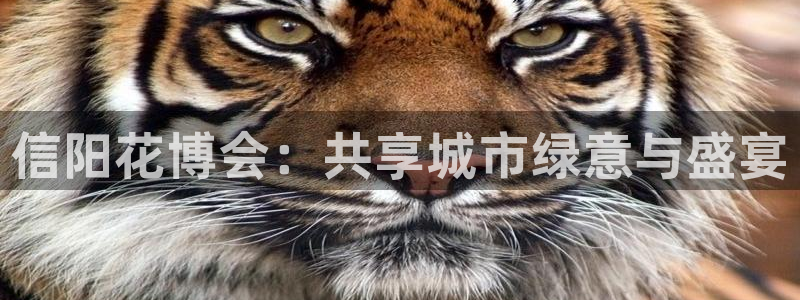 果博平台苹果电脑怎么下载：信阳花博会：共