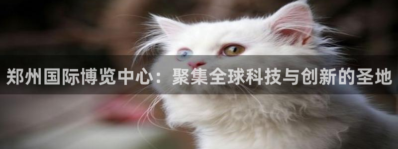果博注册电话：郑州国际博览中心：聚集全球科技与创新的圣地