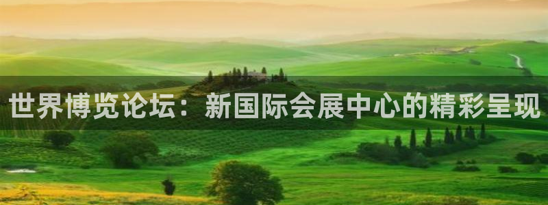 果博电话：世界博览论坛：新国际会展中心的