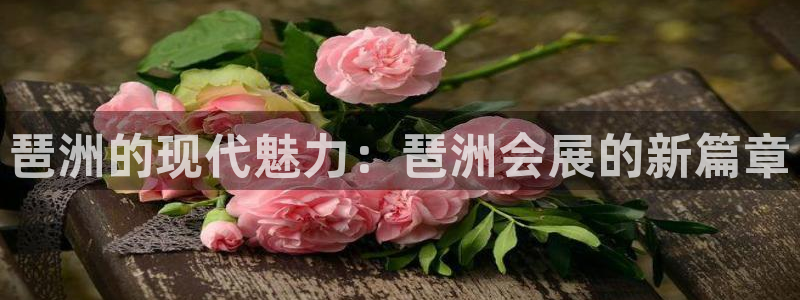 果博东手机版下载开户：琶洲的现代魅力：琶