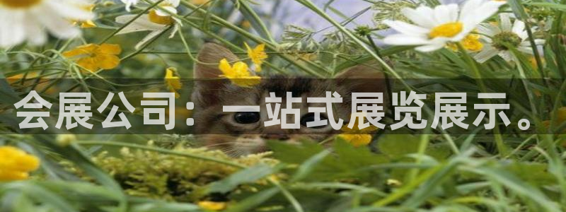 果博手机下载网址：会展公司：一站式展览展